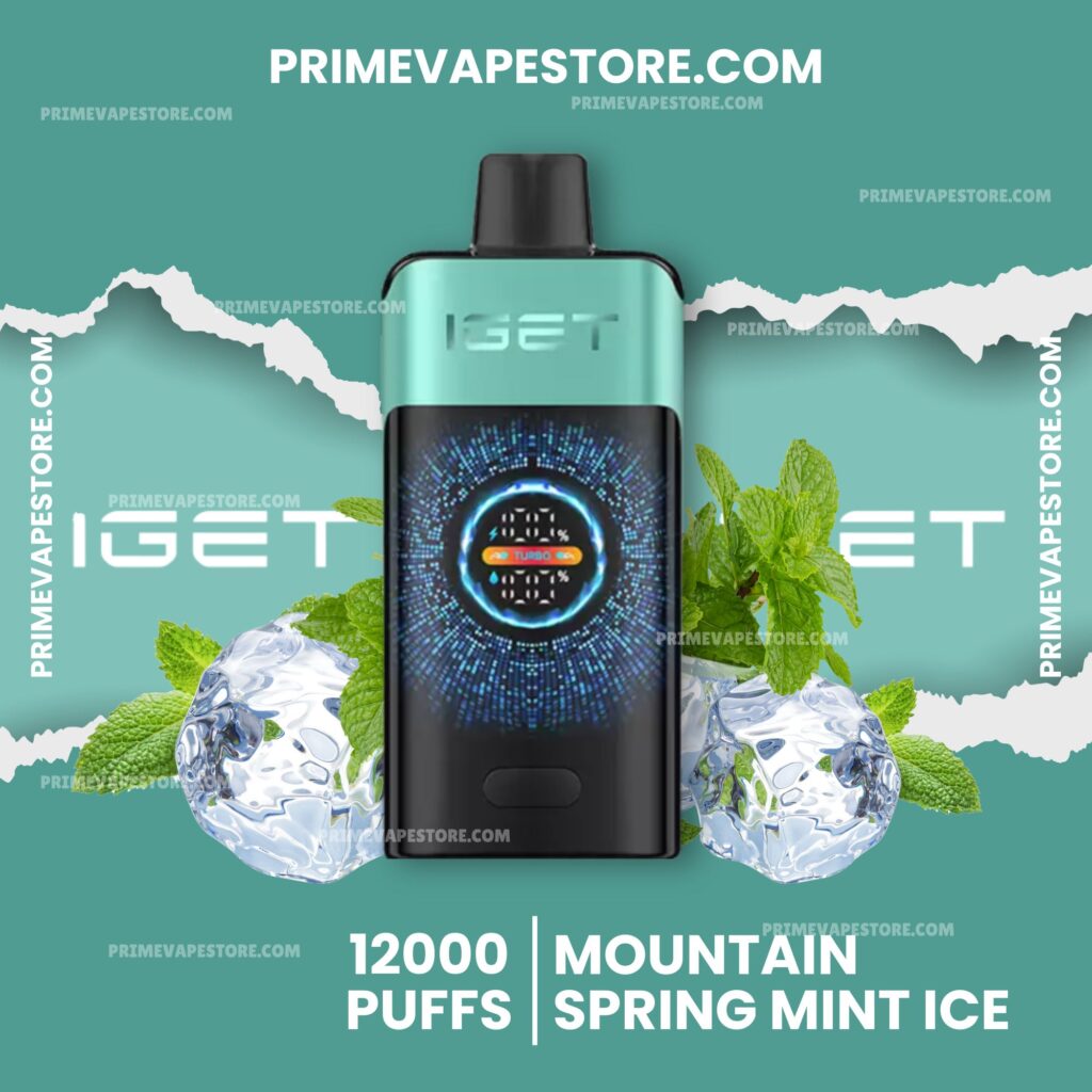 Iget One 12000 Puffs Mountainspring Mint Ice